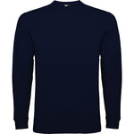 Camiseta M/L ROLY POINTER marino